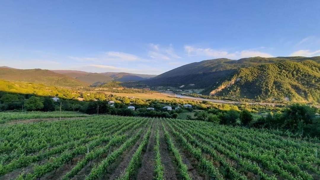 Chateau Dio 암브롤라우리 외부 사진