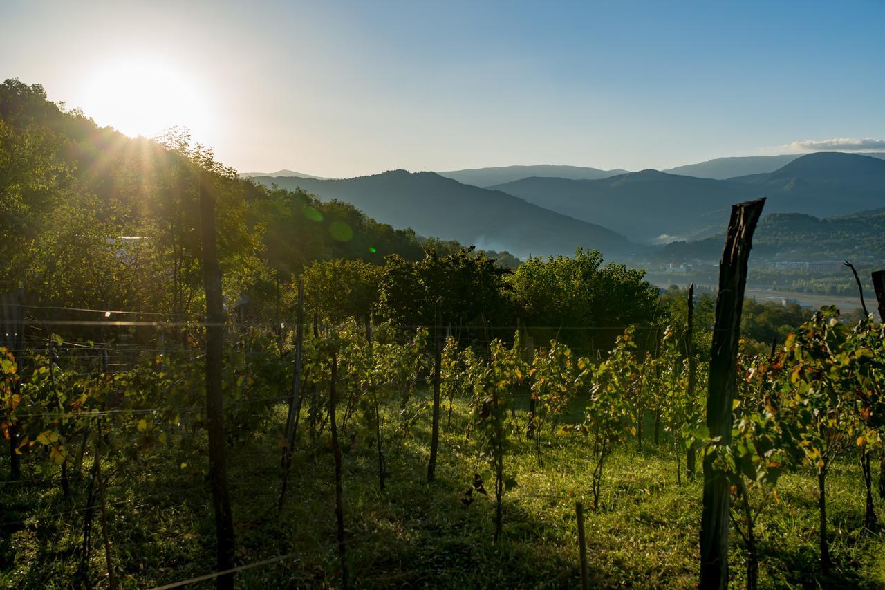 Chateau Dio 암브롤라우리 외부 사진