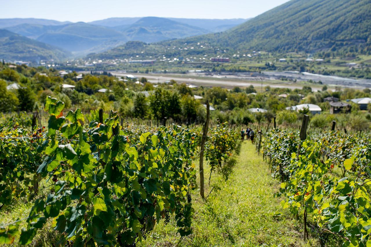Chateau Dio 암브롤라우리 외부 사진