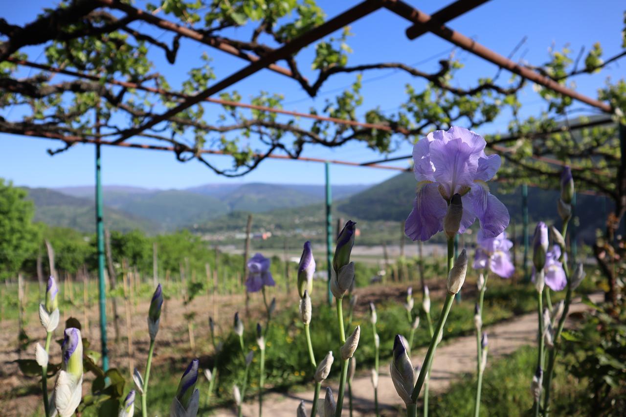 Chateau Dio 암브롤라우리 외부 사진